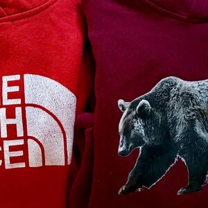 The North Face Kids Maroon Bear Graphic Hoodie